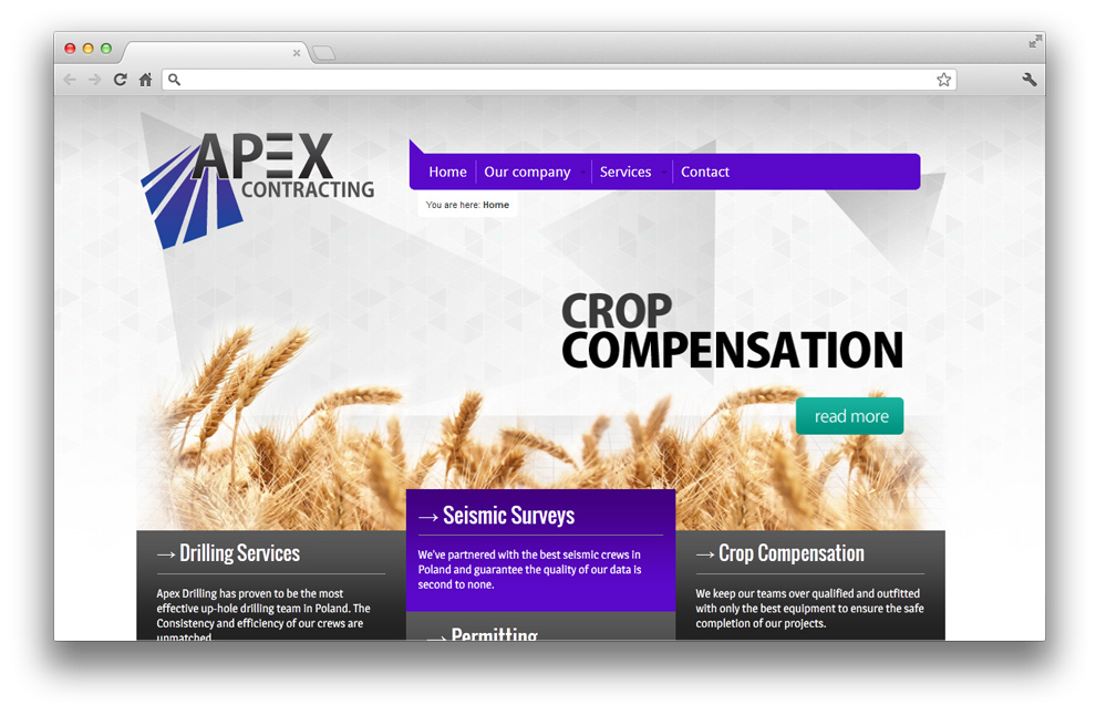 reklama-tworzenie-stron-www-apex-1
