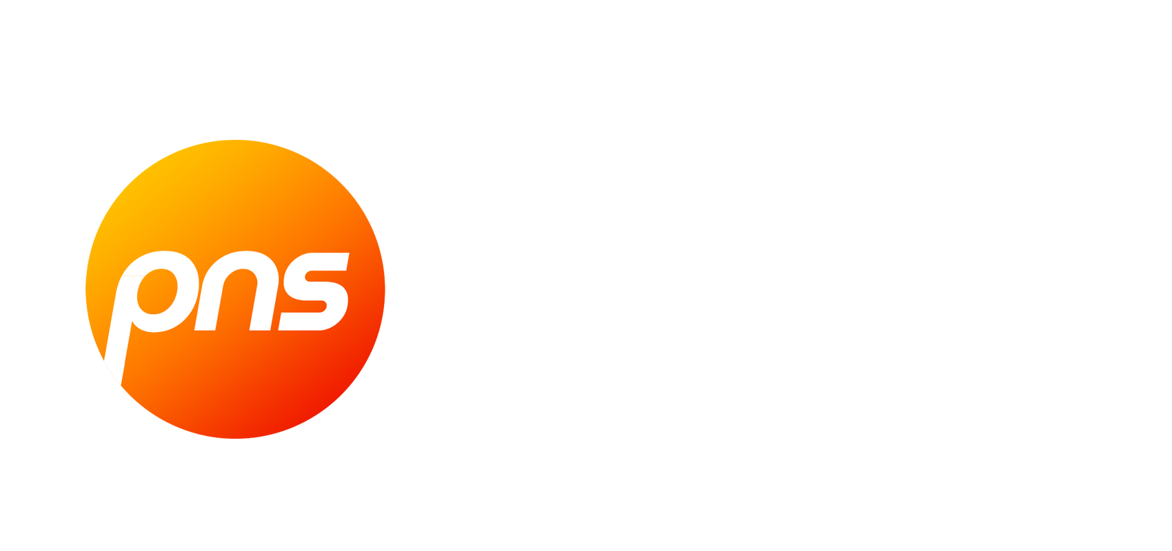 Grupa Pns Europe Logo