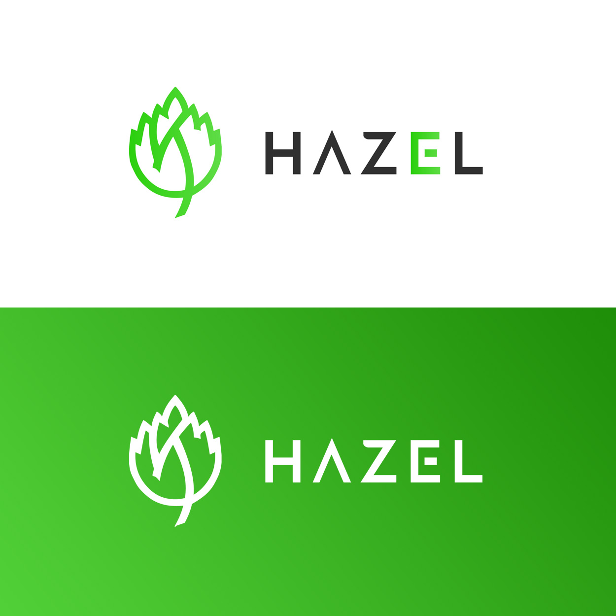 Logo Firmowe Hazel Elektromobilnosc Punkty Ladowania Realizacja Grupapns